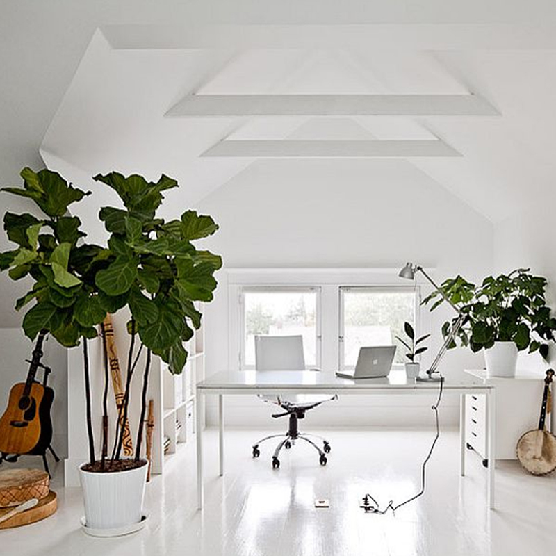 item 1 desktop image